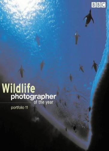Wildlife photographer the - wildlife, of