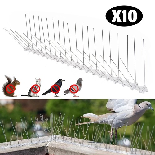 Pigeon bird spikes metal - pigeon,