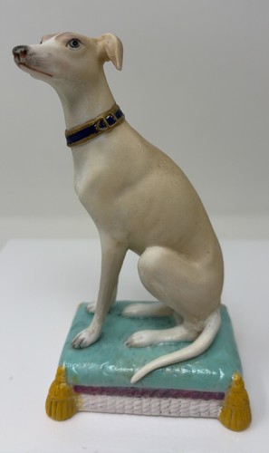 Whippet italian greyhound - italian,