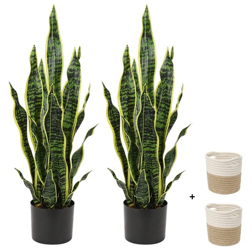 Set large fake snake plant - set,