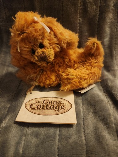 The ganz cottage - ganz,