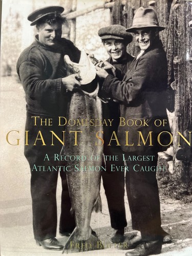 The domesday book giant - the,