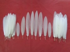 50 Mallard Duck Inner Wing Feathers 2" - 4.5" / 5cm - 11cm Jewellery