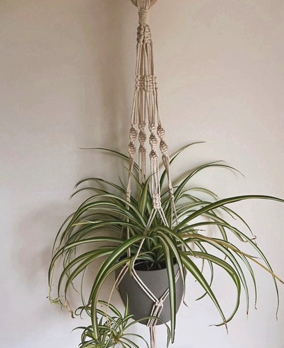 Macramé rope plant hanger - hanger, –