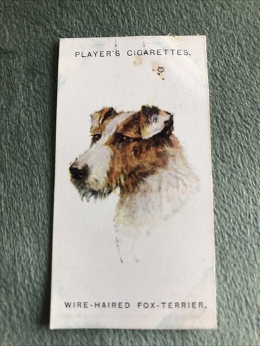 John player cigarette - (a15),
