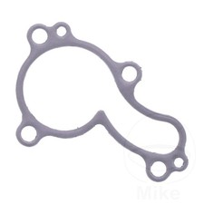 Genuine OEM Water Pump Cover