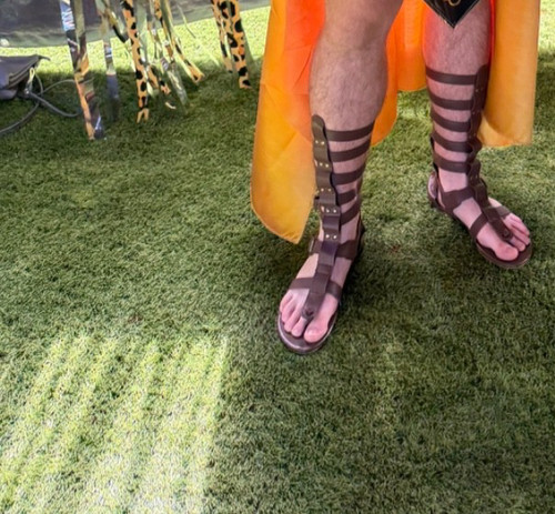 Fancy dress egyptian - dress, shoes