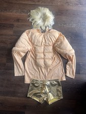 Fancy Dress Costume for A