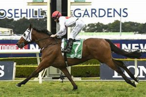 The secret combination horse - secret,