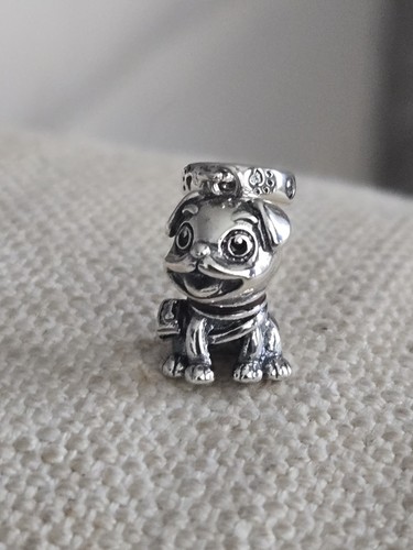 Adorable pug dog charm - dog,