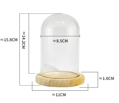Clear cloche glass - glass, dome