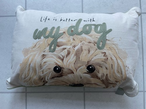 Next charlie cockapoo - cockapoo, "life