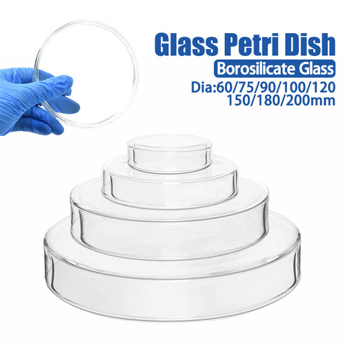 Borosilicate glass petri - borosilicate,