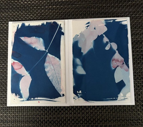 Set cyanotype - set,