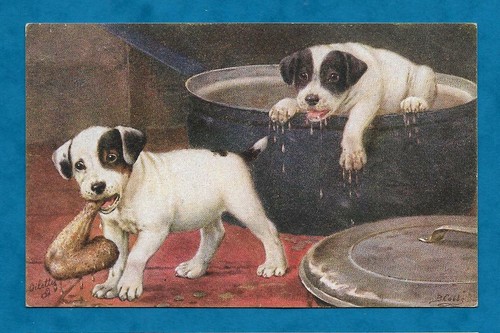 C1920s cobbe fox - c1920s, pc
