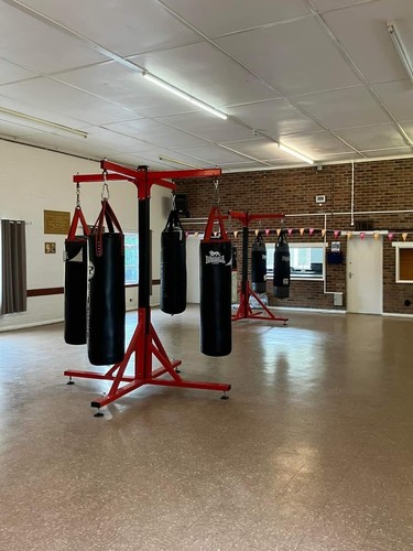 Boxing bag stand - x, frame