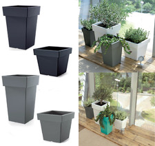 Plant Flower Pot Square Low