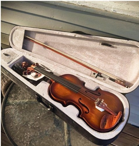 Music sale violin - ❄️music, sale!❄️violin