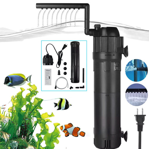 Internal aquarium fish - internal,