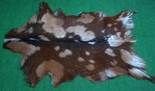 New Goat hide Rug Hair on Area Rug Size 34"x22" Animal Leather Goat Skin G-34