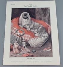 VINTAGE BONZO DOG THE SKETCH