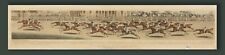 HORSE RACING rare panorama engraving 1816 ST LEGER Doncaster hand-coloured ORME