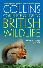 British Wildlife: A photographic guide to every comm... by Paul Sterry Paperback