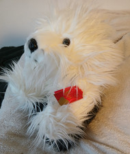 Larger Keel English Sheepdog