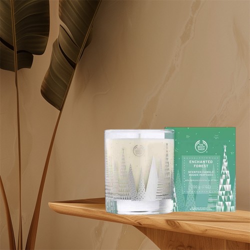 The body shop limited - body,