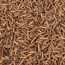 Wild Bird Food 1kg Dried Calci