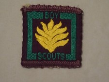 Senior Scouts Proficiency