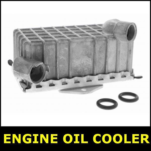 Engine oil cooler for - engine,