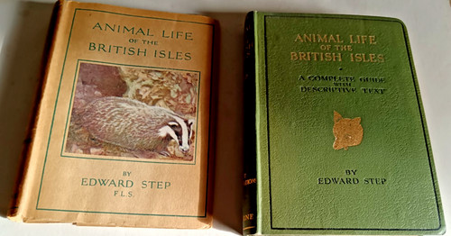 Edward step animal - step,