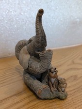 Tuskers Slymberzzz Sleepy