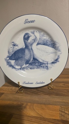 Vintage norfolk china geese - vintage, "geese"