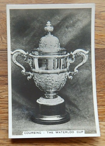 Waterloo cup 1935 vintage - waterloo,