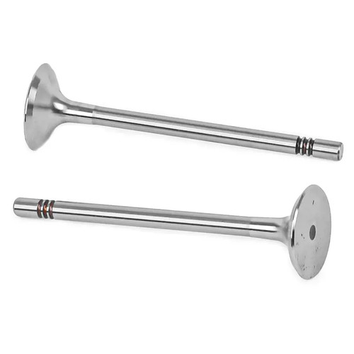 Suction intake valve
