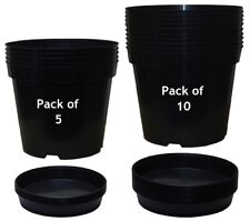 Black Plastic Plant Pots +
