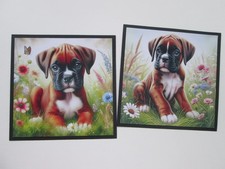 EXCLUSIVE=== 2 x YOUNG BOXER