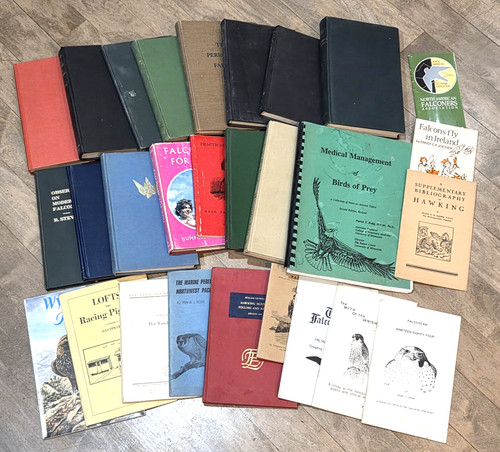 Falconry hawking books - falconry, x28