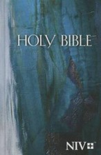 NIV, Economy Bible, Hardcover
