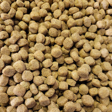 PEDIGREE MIXER dry adult dog