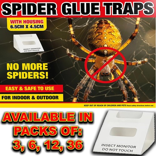 Spider killer traps - traps, poison