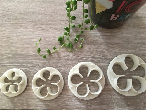 New carnation flower cutters - carnation,