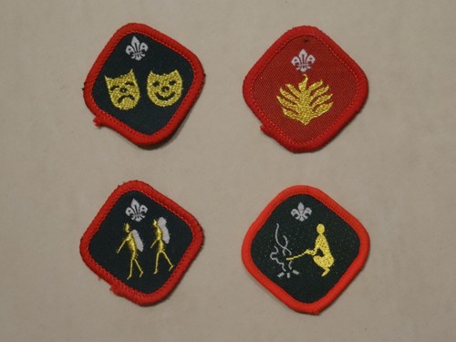 Scout proficiency badges - scout,