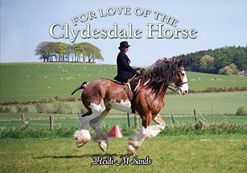 For love the clydesdale - of,
