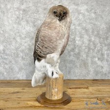 #29001 P | Reproduction Great