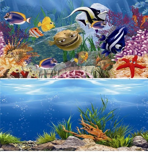 Aquarium fish tank - aquarium, background