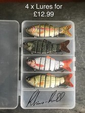 Savage Pike Fishing Lure Slow Sinking Jointed Countdown Gear Bait