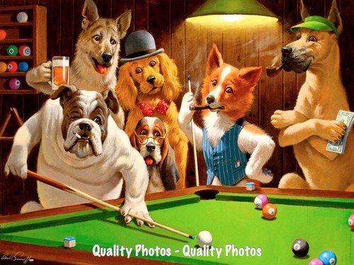 Bulldog pool hustler 5x11 - bulldog, 8.5x11"